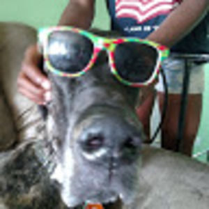 Meet your Posher, Rick